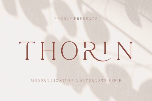 Thorin Font: Modern Serif for Digital Design Excellence